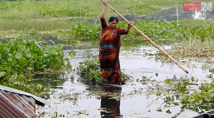 নড়াইলের বিলগুলোয় নারীদের জীবিকার বাহন ডুঙ্গা